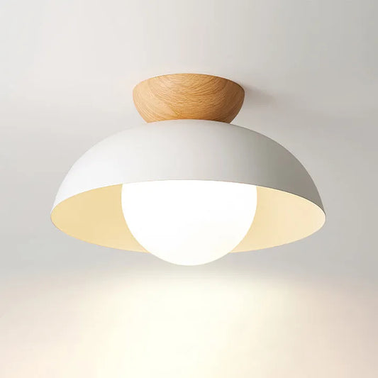 Modern Dome Flush Mount Ceiling Light