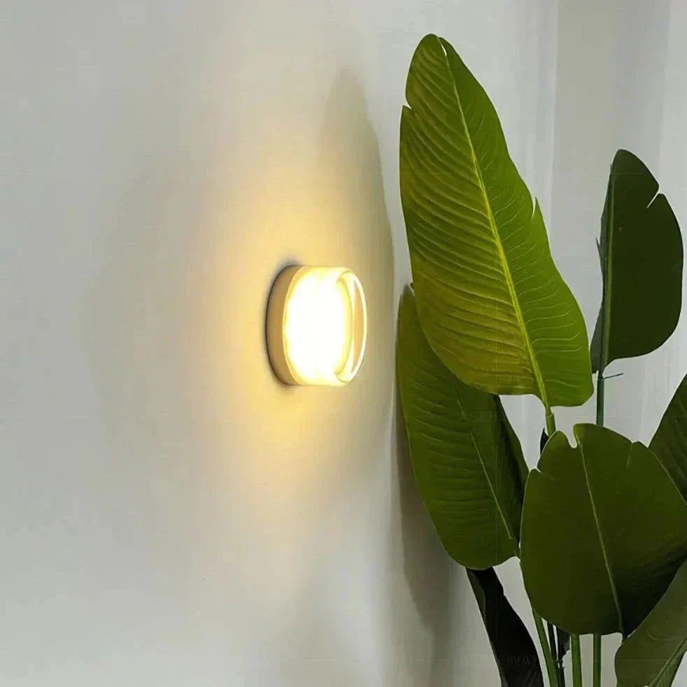 Frosted Wall Sconce