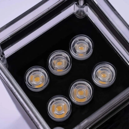 Up Down Black Outdoor Wall Sconce